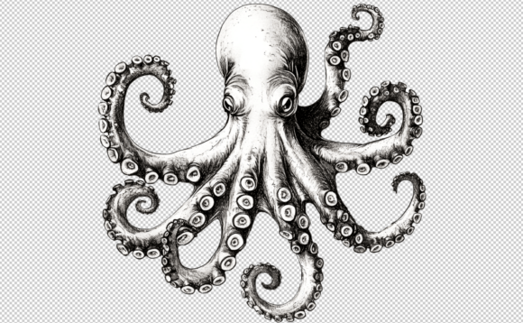 Download Octopus PNG Sublimation 300 DPI Clipart - Octopus Collection