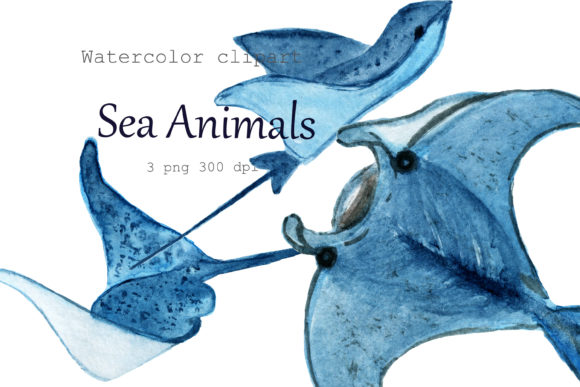 Download Watercolor Clipart Sea Animals.Stingray. - Premium Resources