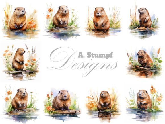 Download Beaver Clipart Watercolor Animal Bundle - Watercolor animal bundle Collection